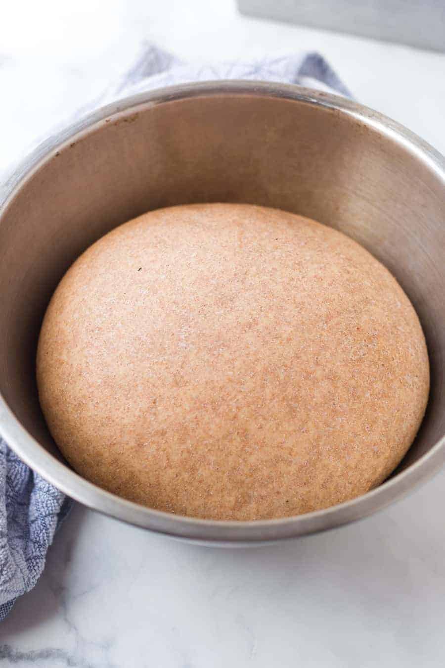 This simple whole wheat bread recipe made with wholesome ingredients will be your new go-to loaf for all your favorite sandwiches and toasts!