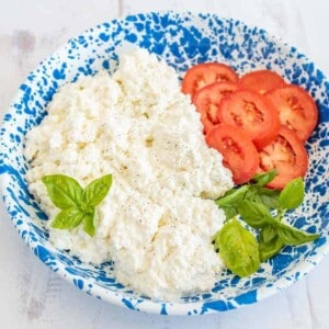 A blue and white speckled bowl with ricotta cheese, sliced tomatoes, and fresh basil leaves, perfect for those curious about how to make cottage cheese or elevate simple ingredients on a white surface.