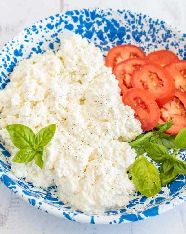 fresh cottage cheese on a blue speckled plate with fresh basil and sliced tomatoes
