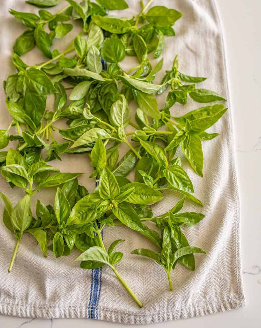Homemade pesto is a simple and adaptable recipe that you can use as marinade, in sandwiches, on pasta, or over roasted veggies. Plus, it's full of fresh flavors and wholesome ingredients. #pesto #pestorecipe #basil #italian #homemadepesto