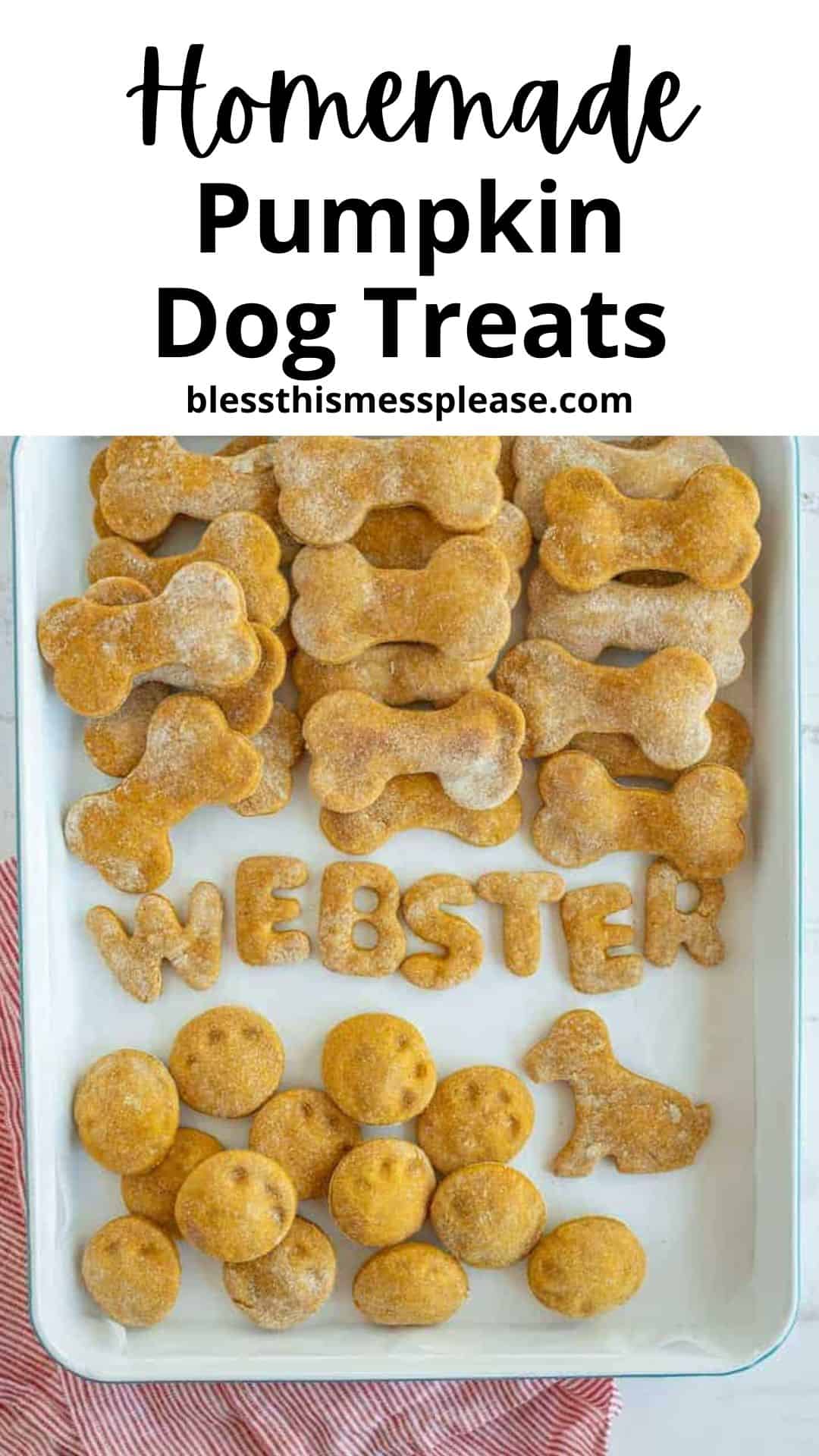 A baking sheet filled with homemade pumpkin dog treats in bone and round shapes, some spelling out WEBSTER. Text above reads: Homemade Pumpkin Dog Treats blessthismessplease.com—a tasty treat for pups!.
