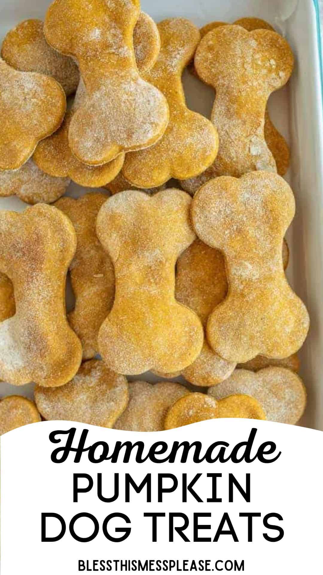 A tray filled with bone-shaped, golden pumpkin dog treats sits ready to enjoy. The text at the bottom reads: Homemade Pumpkin Dog Treats. blessthismessplease.com.