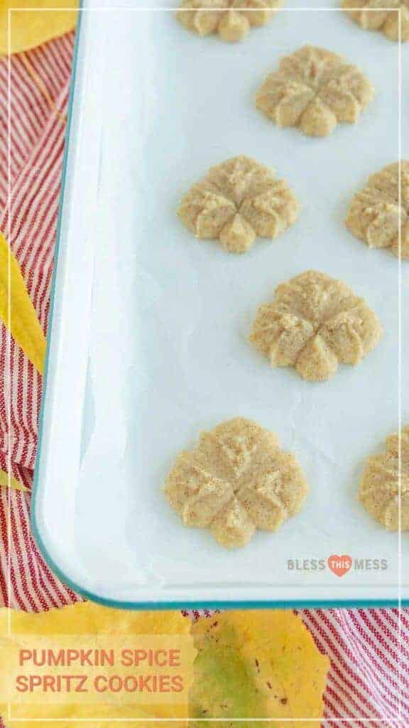 top view of pumpkin spice raw cookies