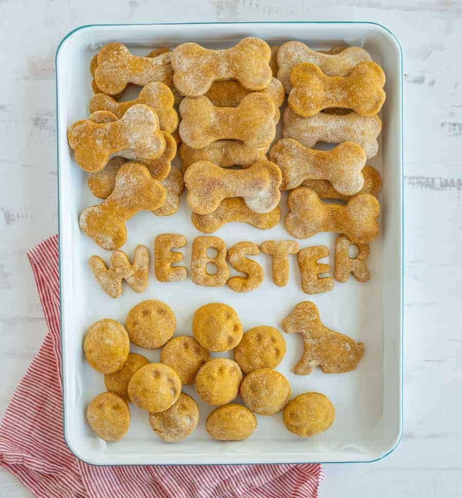 This easy pumpkin dog treat recipe contains four simple ingredients that are good for your pup and that he or she will love to chow down! #pumpkindogtreat #homemadedogtreat #dogtreat #dogtreatrecipe