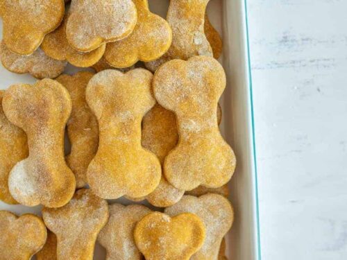 Pumpkin dog treats hotsell