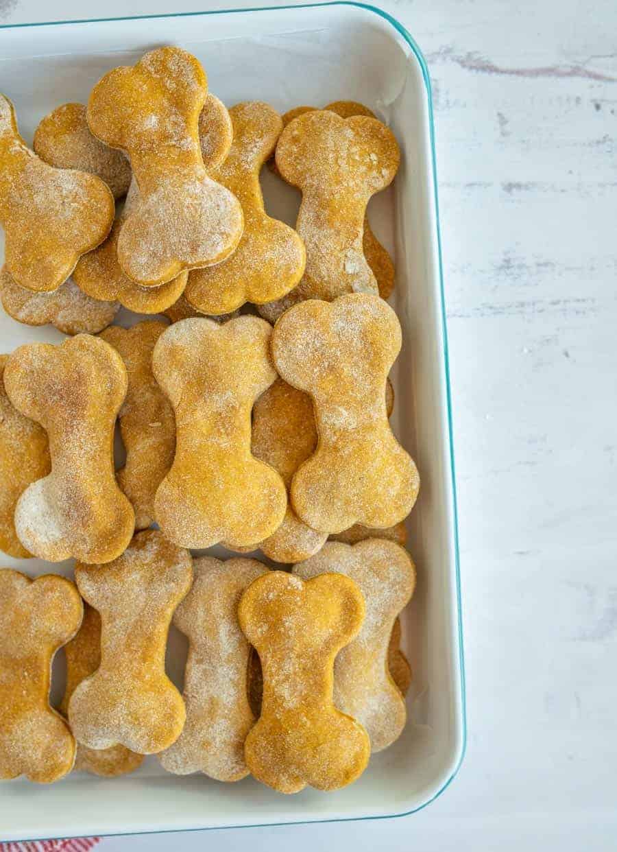 This easy pumpkin dog treat recipe contains four simple ingredients that are good for your pup and that he or she will love to chow down! #pumpkindogtreat #homemadedogtreat #dogtreat #dogtreatrecipe