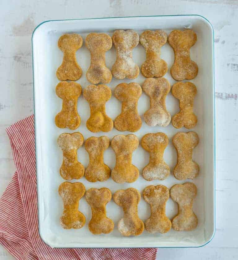 Easy Pumpkin Dog Treat Recipe — Bless this Mess