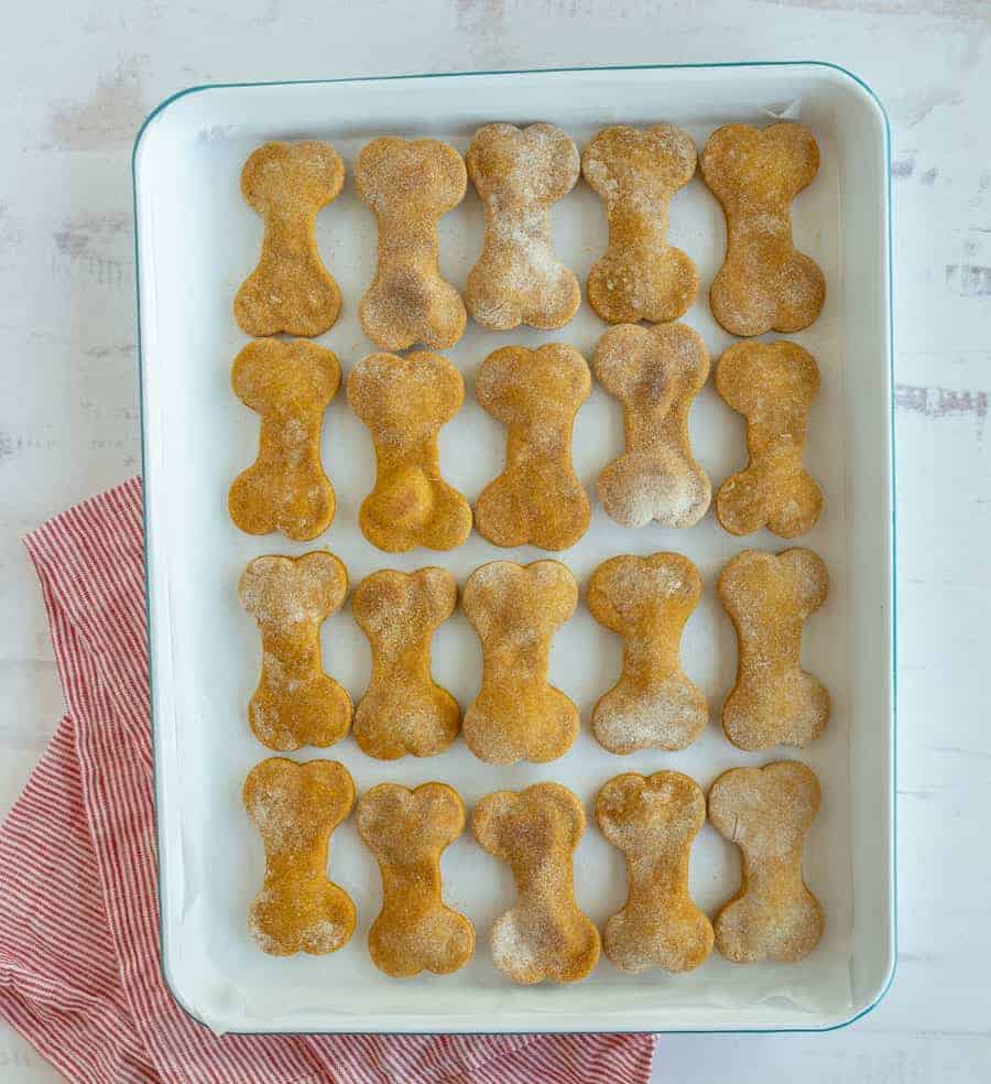 a baking dish with homemade pumpkin dog treats