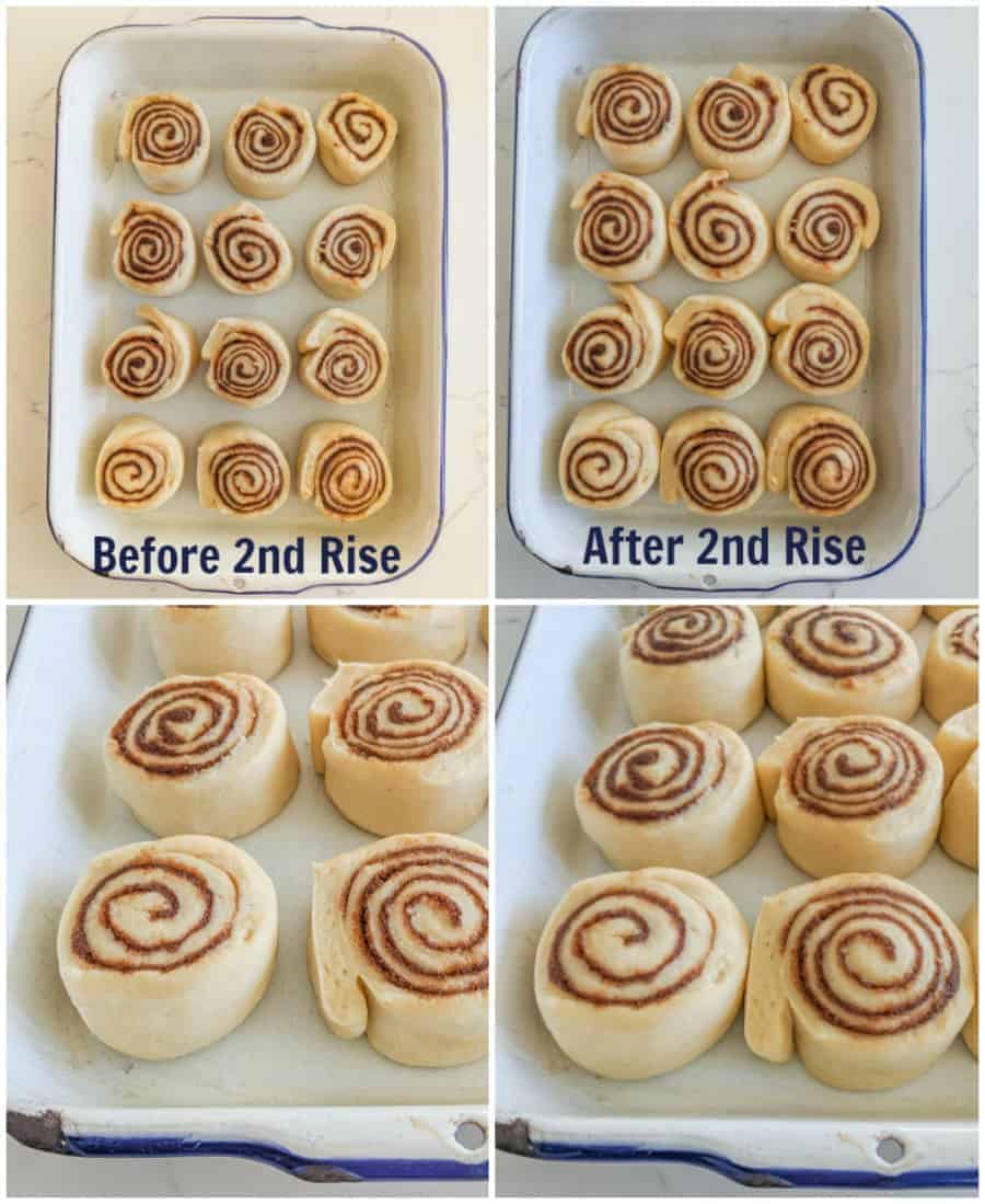 Four photos, upper left-hand picture shows what the cinnamon rolls look like from above before the second rising. The bottom left-hand picture is a closeup of how they should look. The top right-hand picture shows an above view of the cinnamon rolls, after the second rise and below that is a closeup of how the should look.