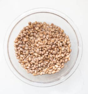 How to Cook Dried Beans (stove top, pressure cooker, AND slow cooker instructions)