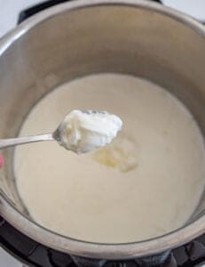 spoonful of instant pot yogurt.