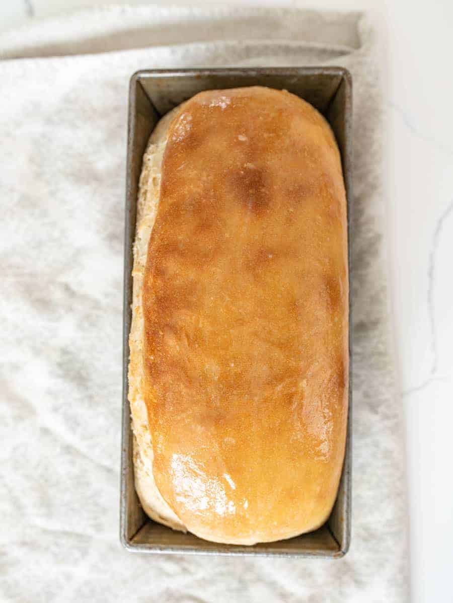 sourdough bread loaf in baking pan