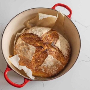 sourdough bread in dutch oven with red handles