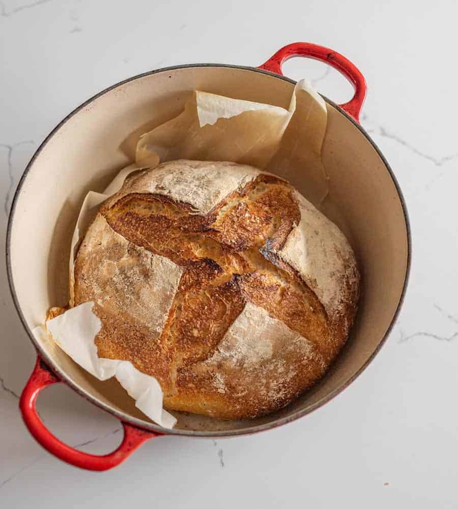 sourdough bread in dutch oven with red handles