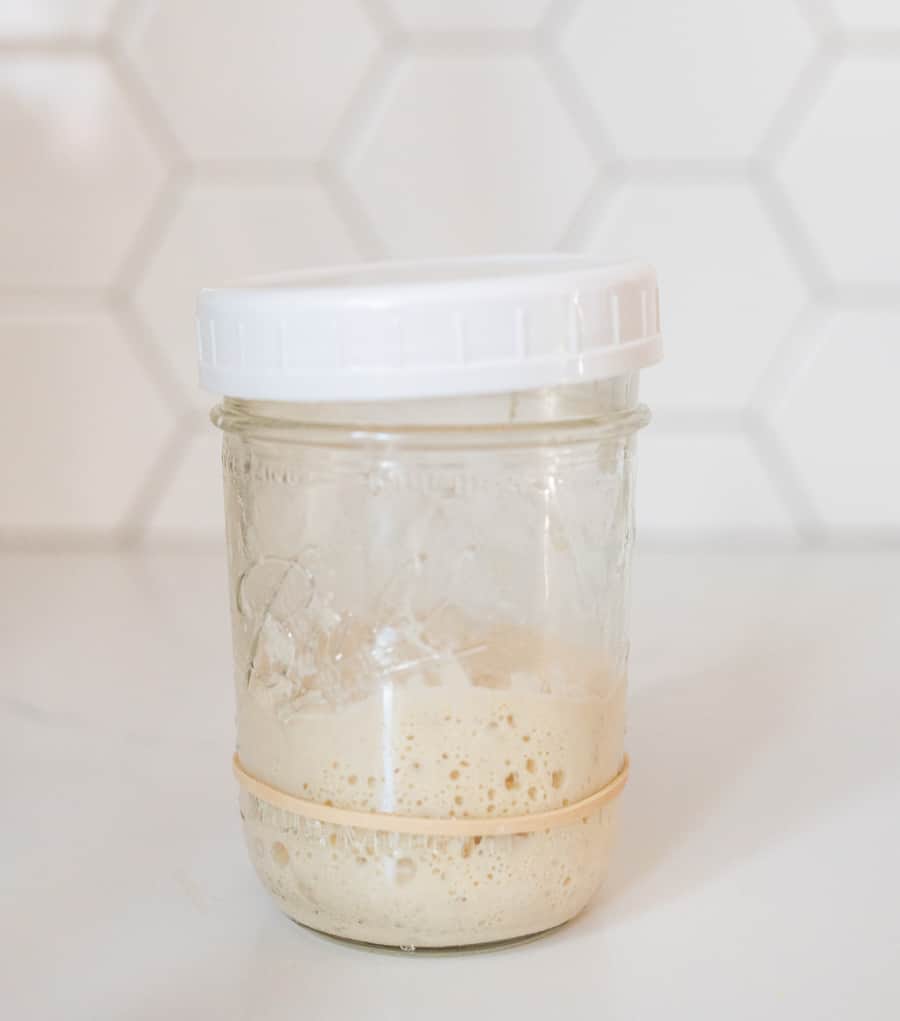 sourdough starter in glass ball canning jar with rubberband white lid on crooked