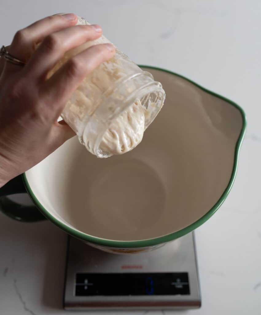 woman pouring sourdough starter in measuring cup