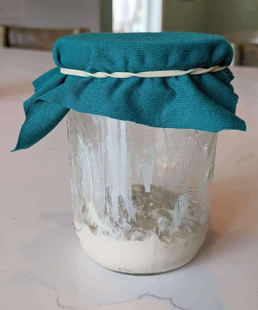 sourdough starter in glass jar on white countertop