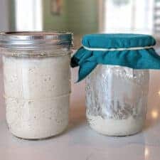 The Best Containers for Sourdough Starter of 2023