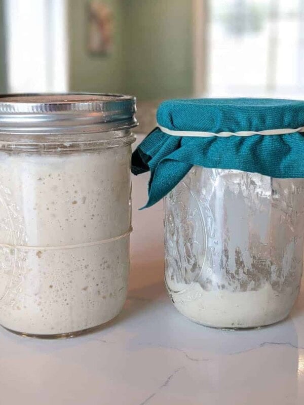 two sourdough starters in glass canning jar