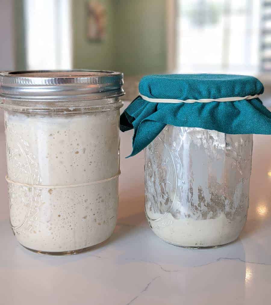 two sourdough starters in glass canning jar