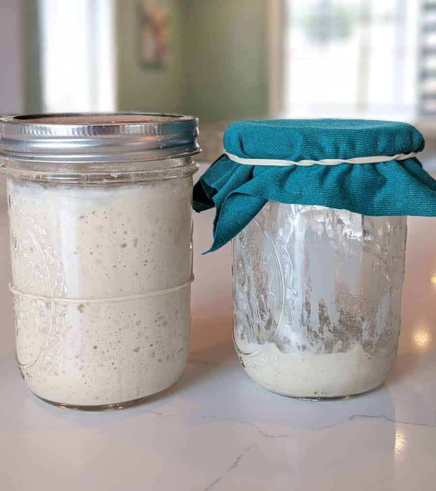 How to feed sourdough starter