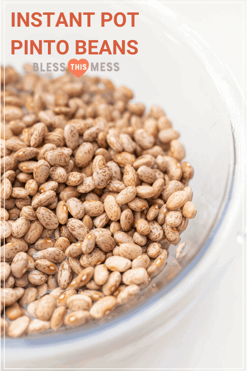 instant pot pinto beans pin image