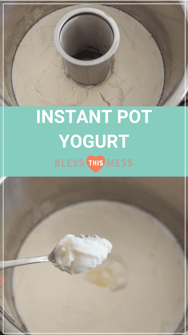 Instant Pot Yogurt Easy Homemade Yogurt 2 Ingredients!