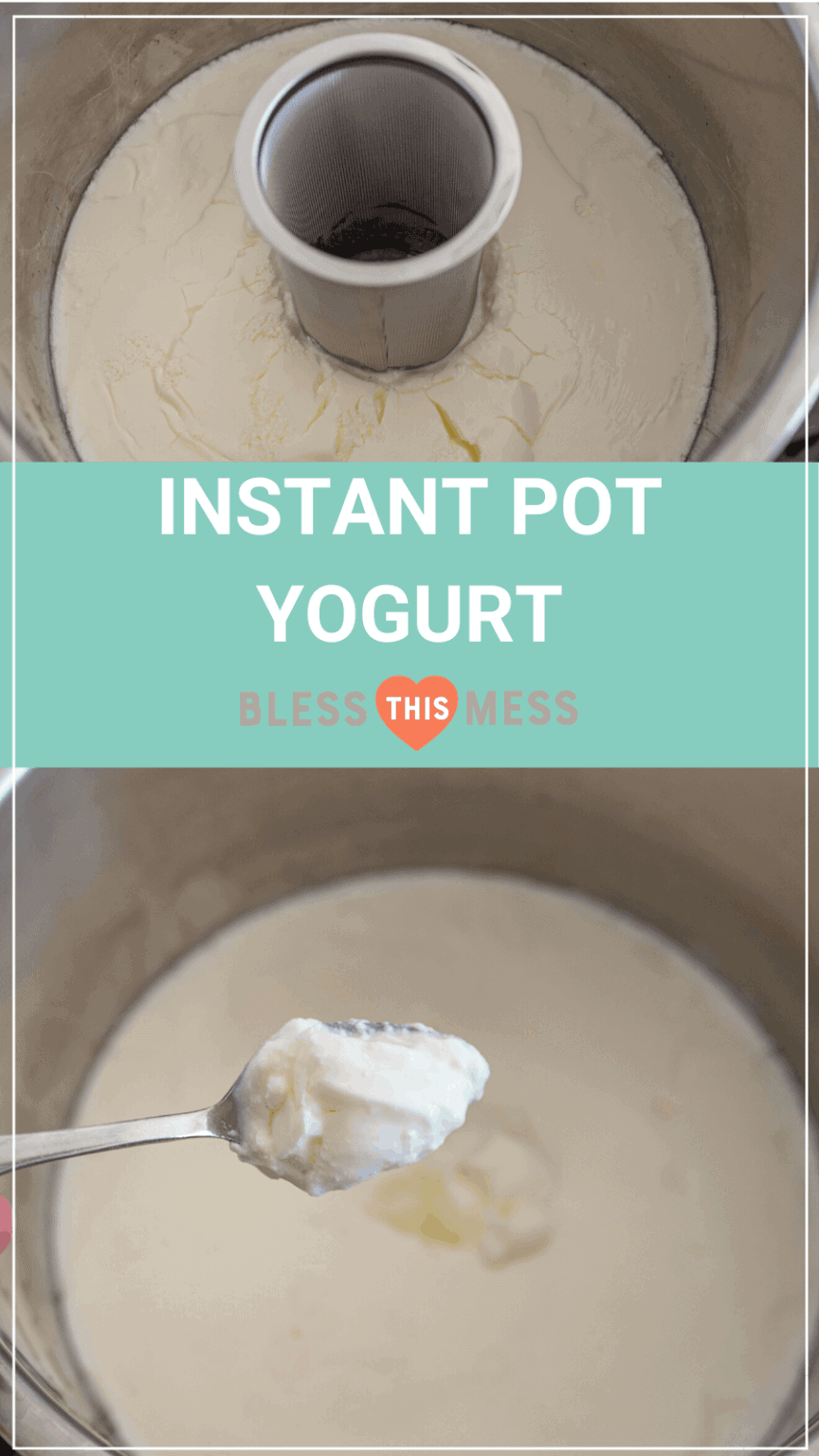Instant Pot Yogurt Easy Homemade Yogurt 2 Ingredients!