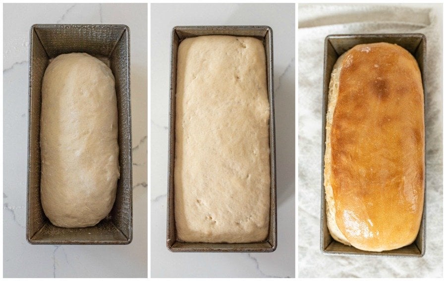 progression of sourdough bread in baking pan rising and then baked