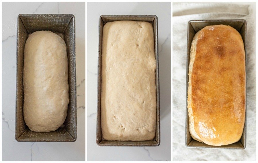 Sourdough Sandwich Bread with a Soft Crust - Baking Sense®