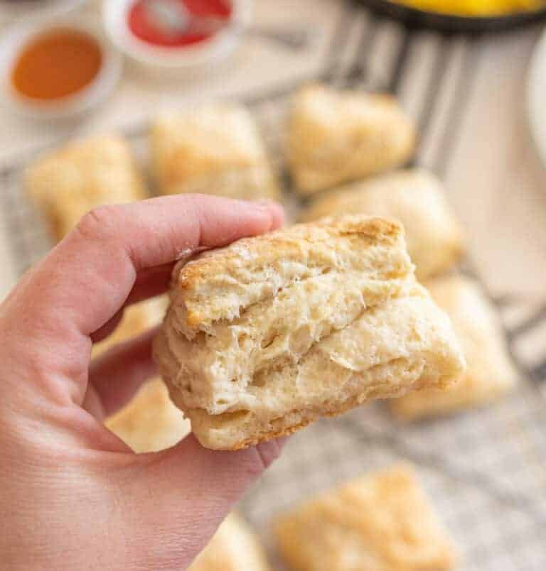 Easy Sourdough Biscuits Recipe Tender Homemade Biscuits!