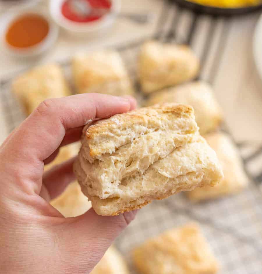 closeup of hand holding sourdough biscuit