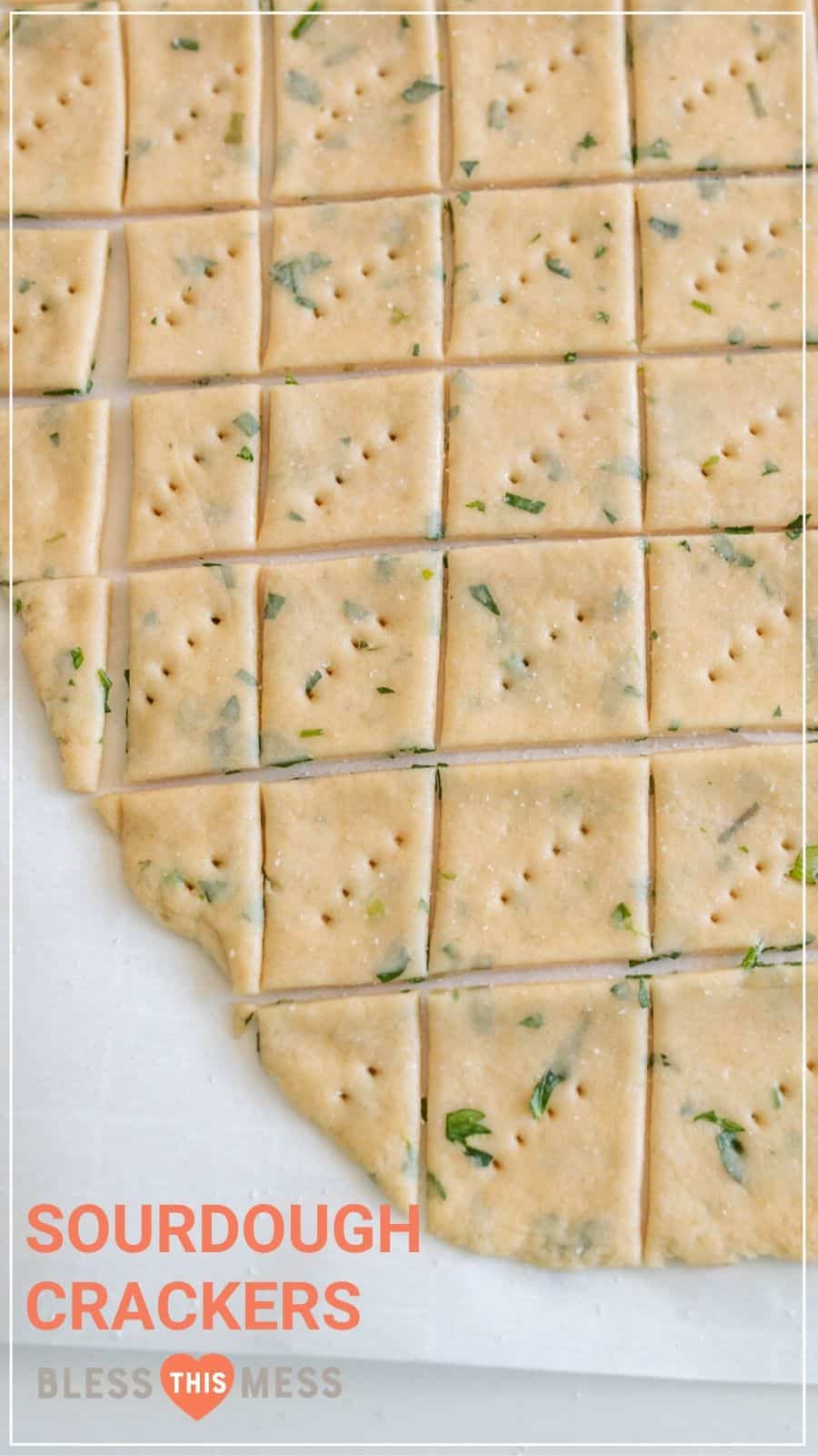 herb and garlic sour dough crackers before baking