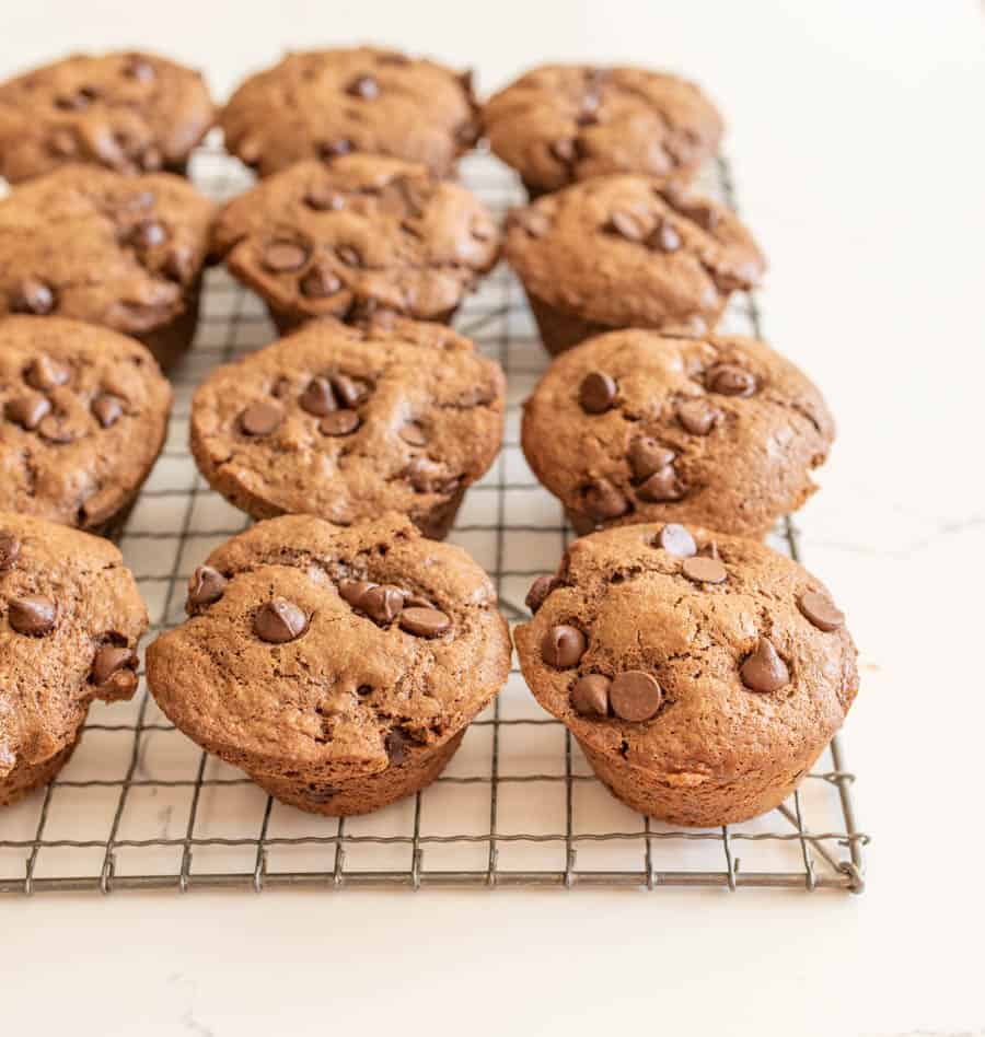 chocolate sourdough muffins with chocolate chips on top
