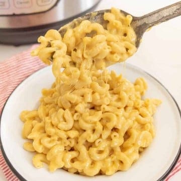 finished macaroni and cheese spooned into dish