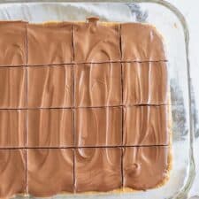 pan of peanut butter bars cut into pieces