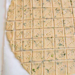 A sheet of uncooked sourdough cracker dough rolled out on parchment paper, cut into small squares with fork marks and flecks of green herbs visible.