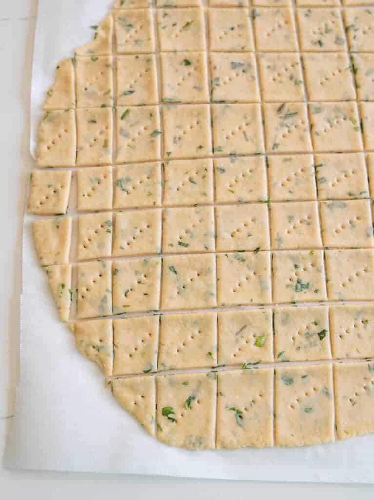 garlic and herb sourdough discard crackers on parchment before baking