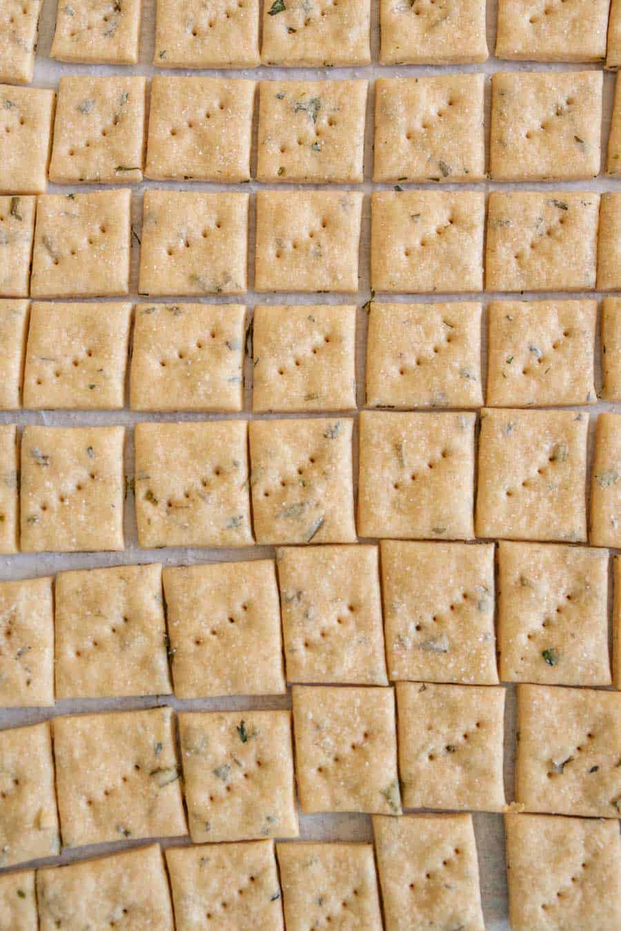 A close-up view of rows of square, lightly golden sourdough crackers with small holes and flecks of herbs, arranged neatly on a flat surface.
