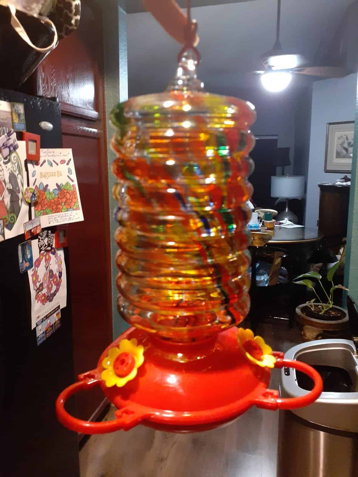 The Best Homemade Hummingbird Food Recipe Bless This Mess