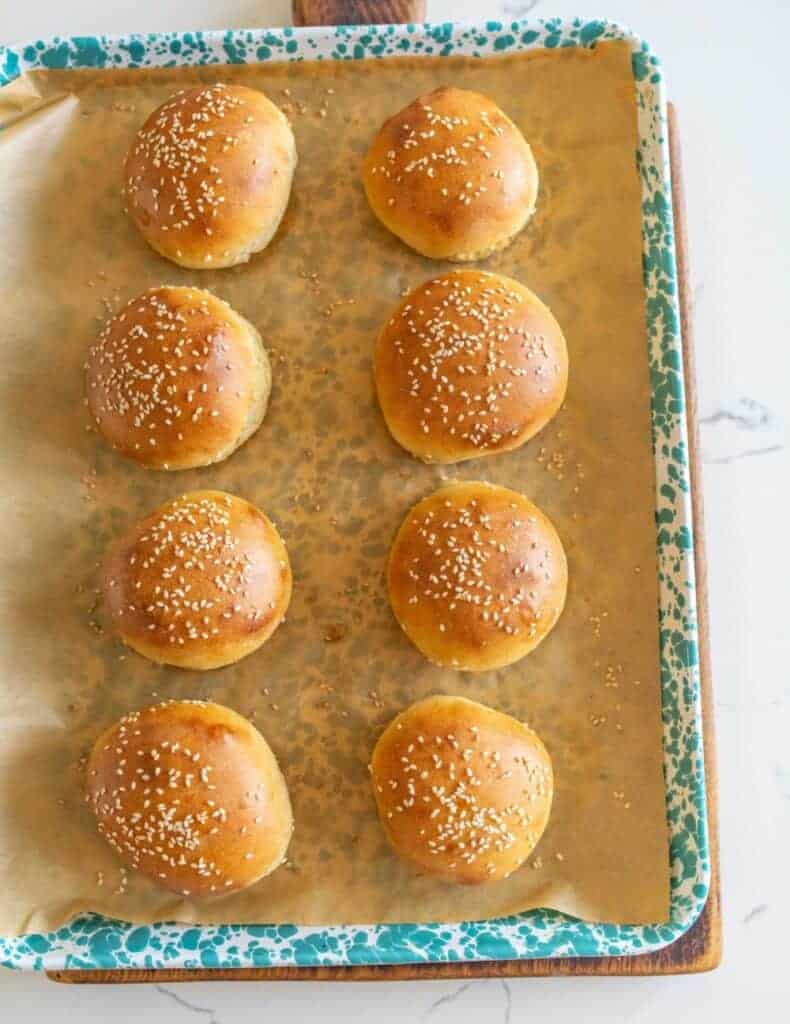 Eight golden-brown sourdough hamburger buns with sesame seeds are arranged on a parchment-lined baking sheet with a blue speckled rim, fresh out of the oven and evenly spaced in two rows.