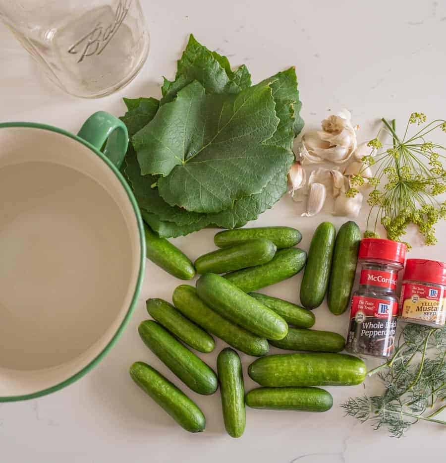 ingredients needed to make pickles on table