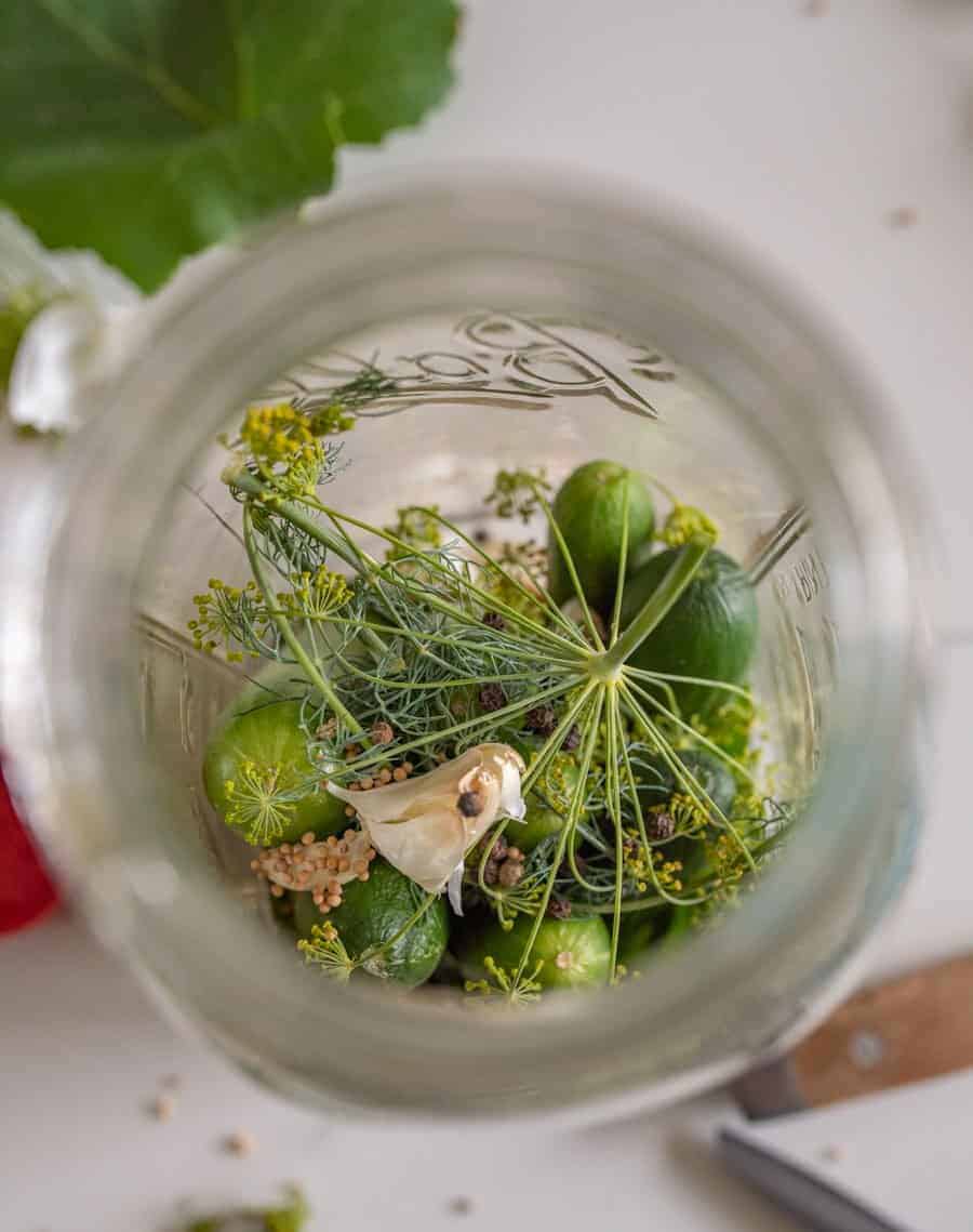 inside jar with pickles and spices showing