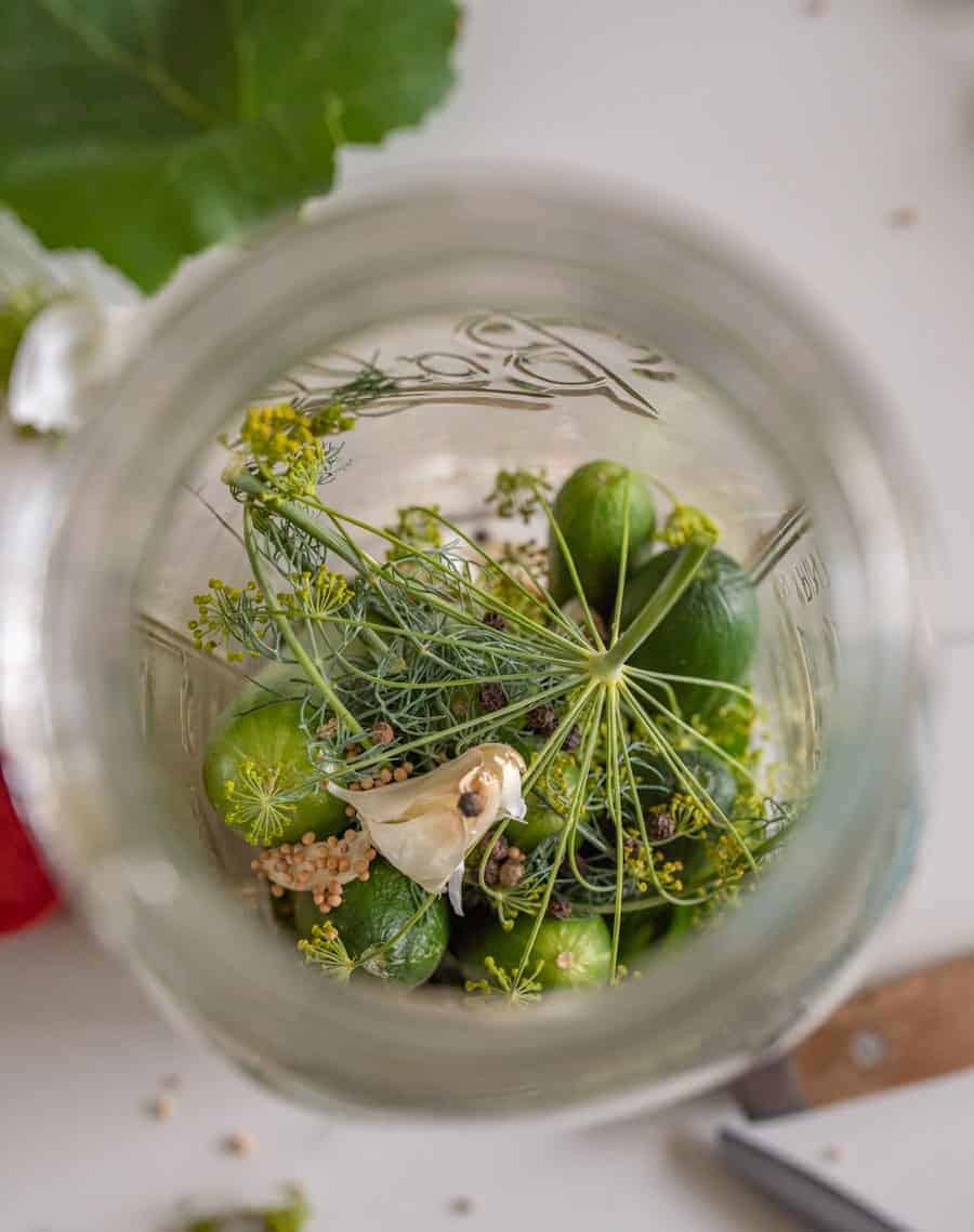 Inside of a clear glass jar with cucumbers and spices.