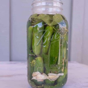 pickles packed in brine in clear glass jar for an easy fermented pickles recipe.