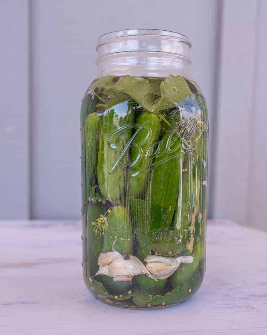 pickles packed in brine in clear glass jar