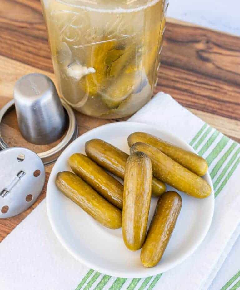 Easy Fermented Pickles — Bless this Mess