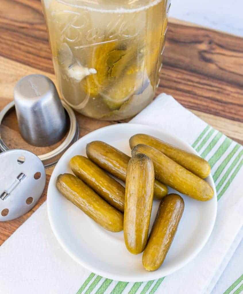 Easy Fermented Pickles — Bless this Mess