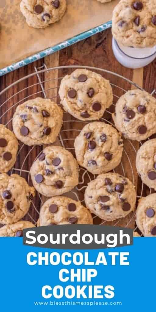 pin of "sourdough chocolate chip cookies"