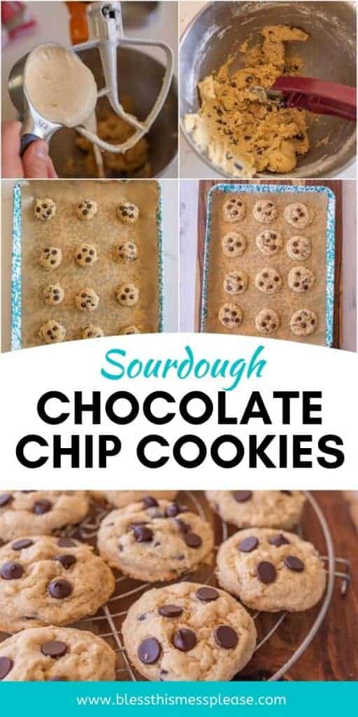 pin of "sourdough chocolate chip cookies" and a collage of the baking process